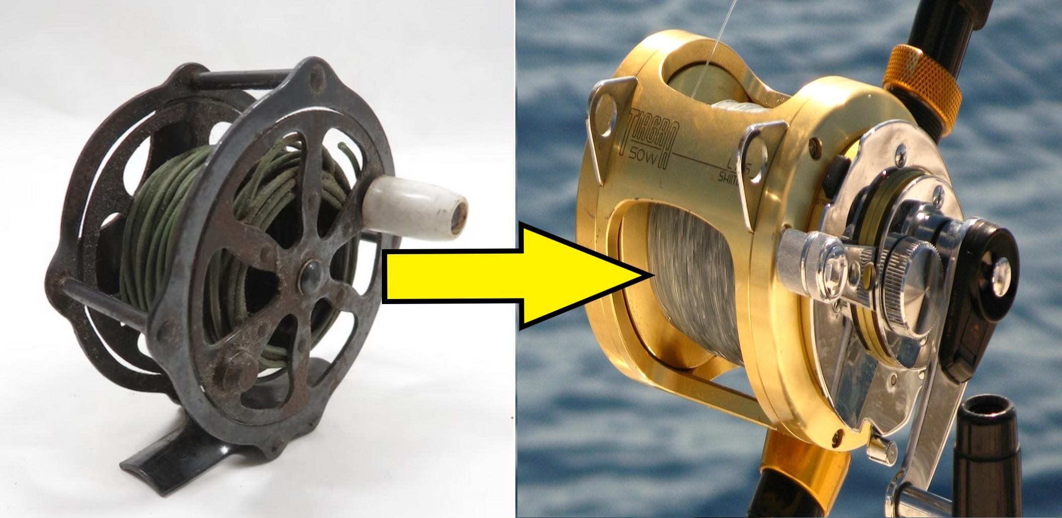How to Revise Your Fishing Reel for Better Performance