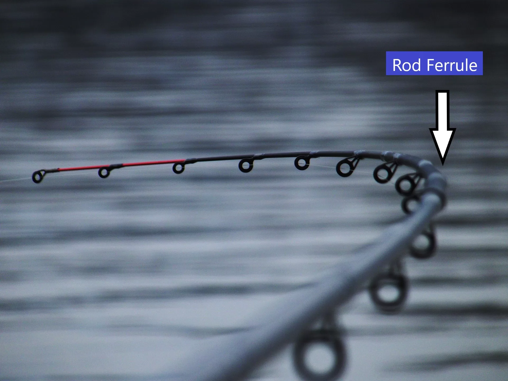 How to Maintain Your Fishing Rod Ferrule 